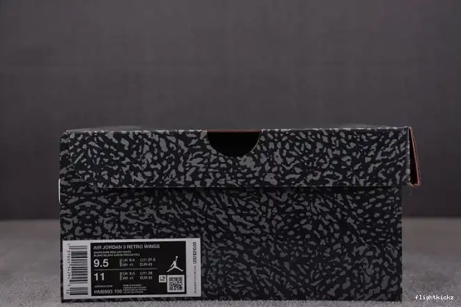 3 Wings HM6993-100 Jordan Retro 0530